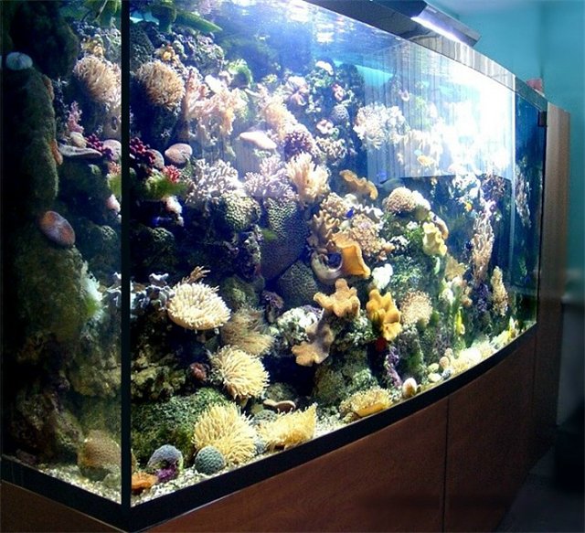 таймер для аквариума